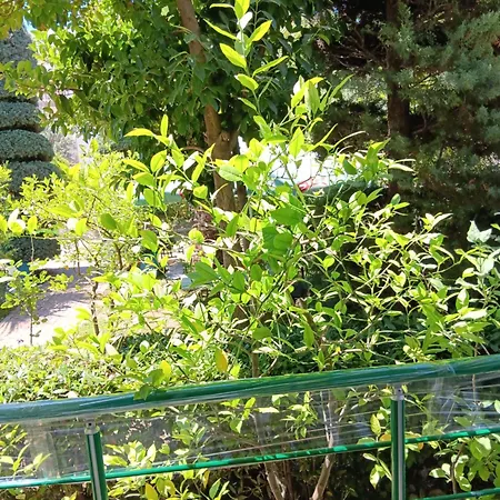 Bed & Breakfast A-vila Golem (Tirana)
